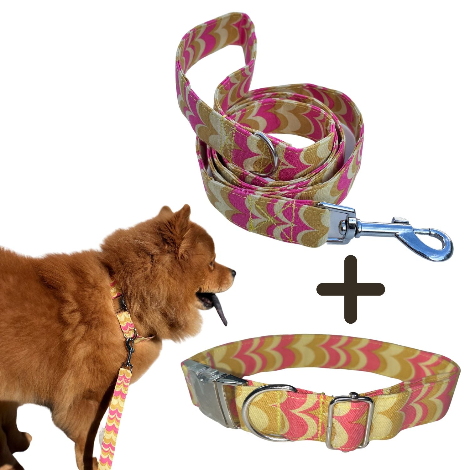 Collar y Correa para Mascotas Broche Metal Modelo Amarosa - talla modelo