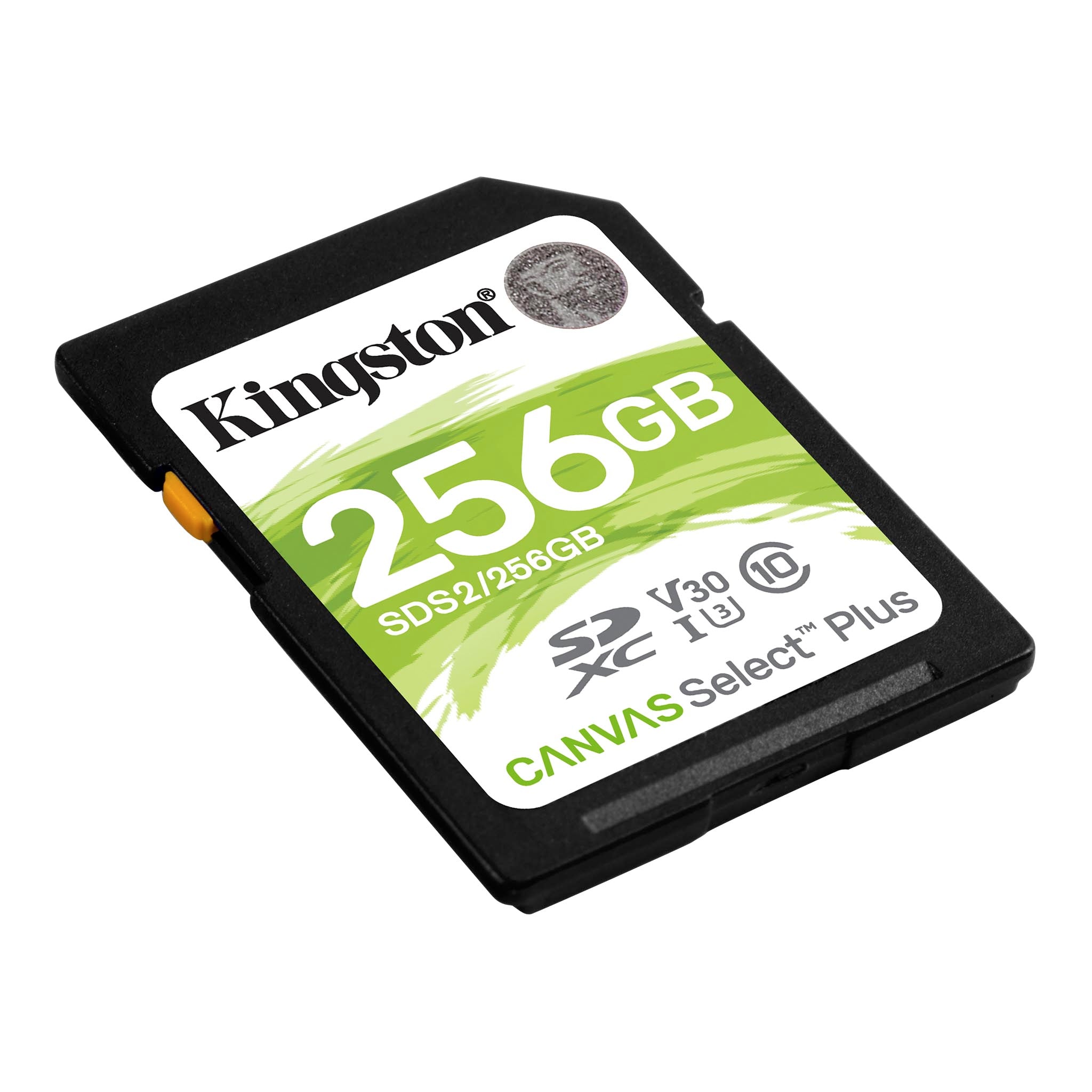 Memoria SD 256GB Canvas Select plus SDS2/256GB 100MB/s