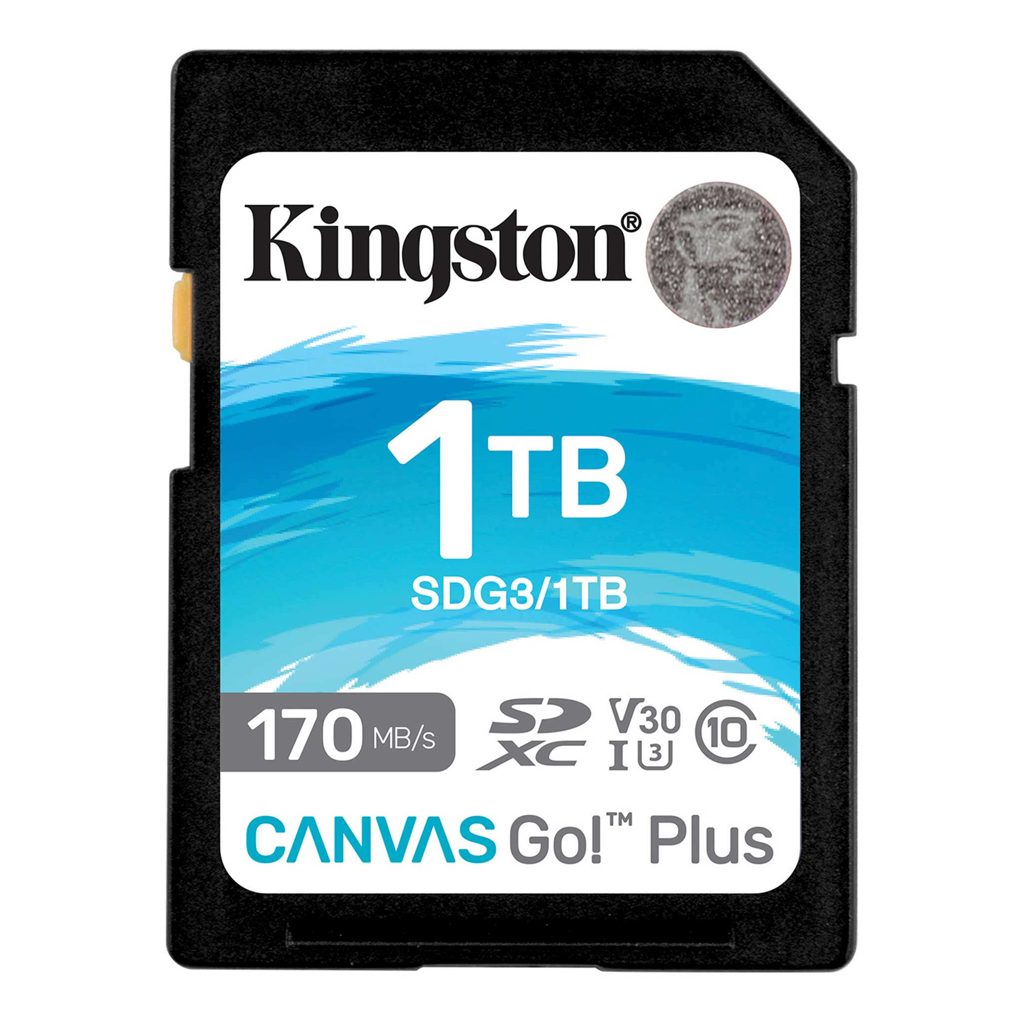 Memoria SD 1TB Canvas Go! Plus SDG3/1TB 170MB/s 4K - tarjeta canvas