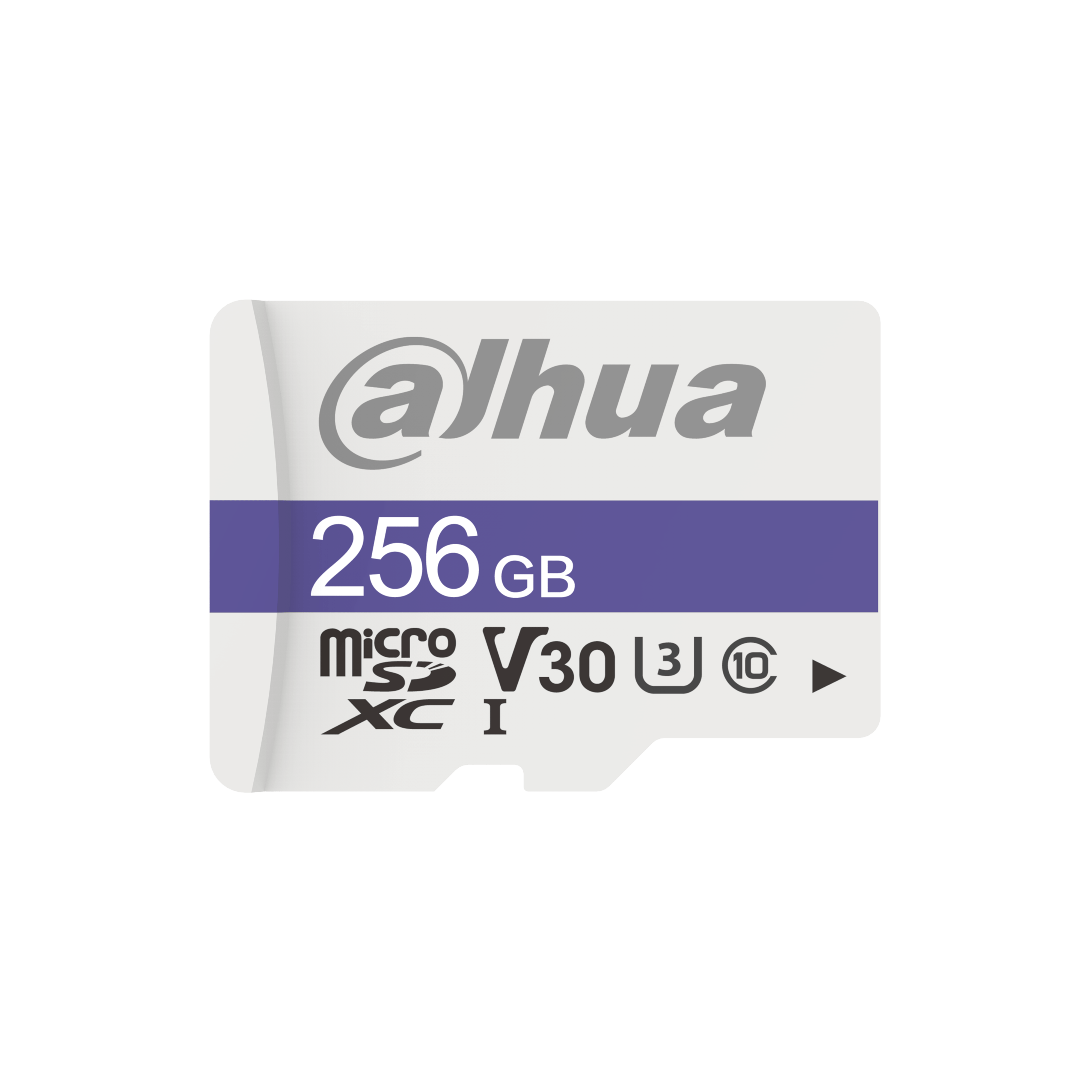 Imagen de Tarjeta de Memoria MicroSD 256GB Dahua clase 10 TF-C100/256G Dispositivos