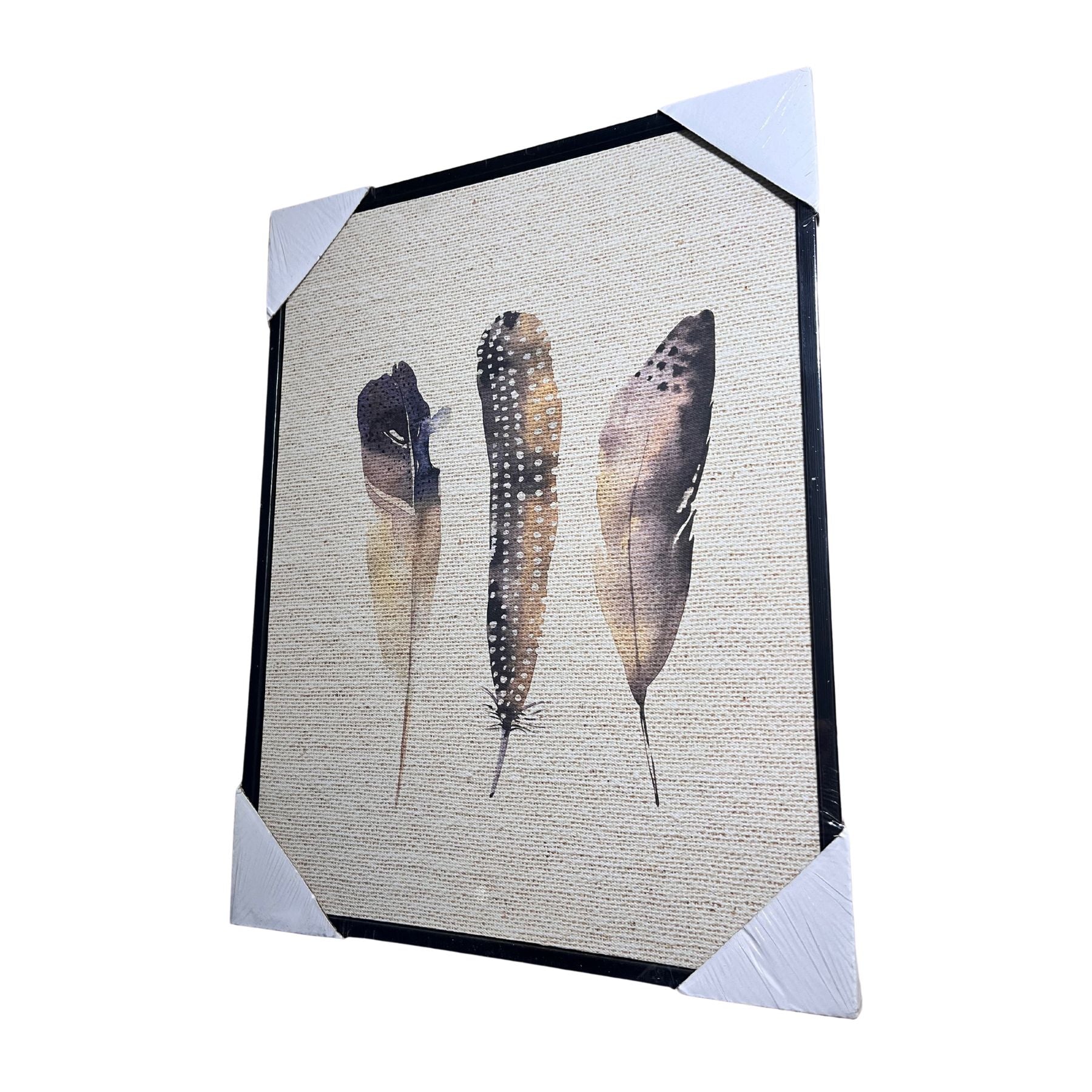 Cuadro Diseño De Plumas - quieres darle