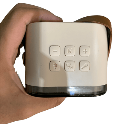 Mini Parlante Karaoke Bluetooth con 2 Micrófonos Inalámbricos