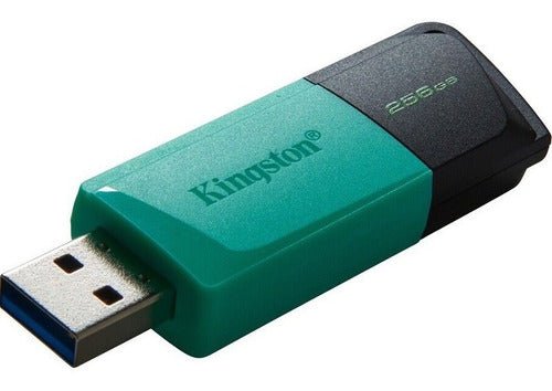 Pendrive Kingston USB 3.2 256gb DataTraveler Exodia M